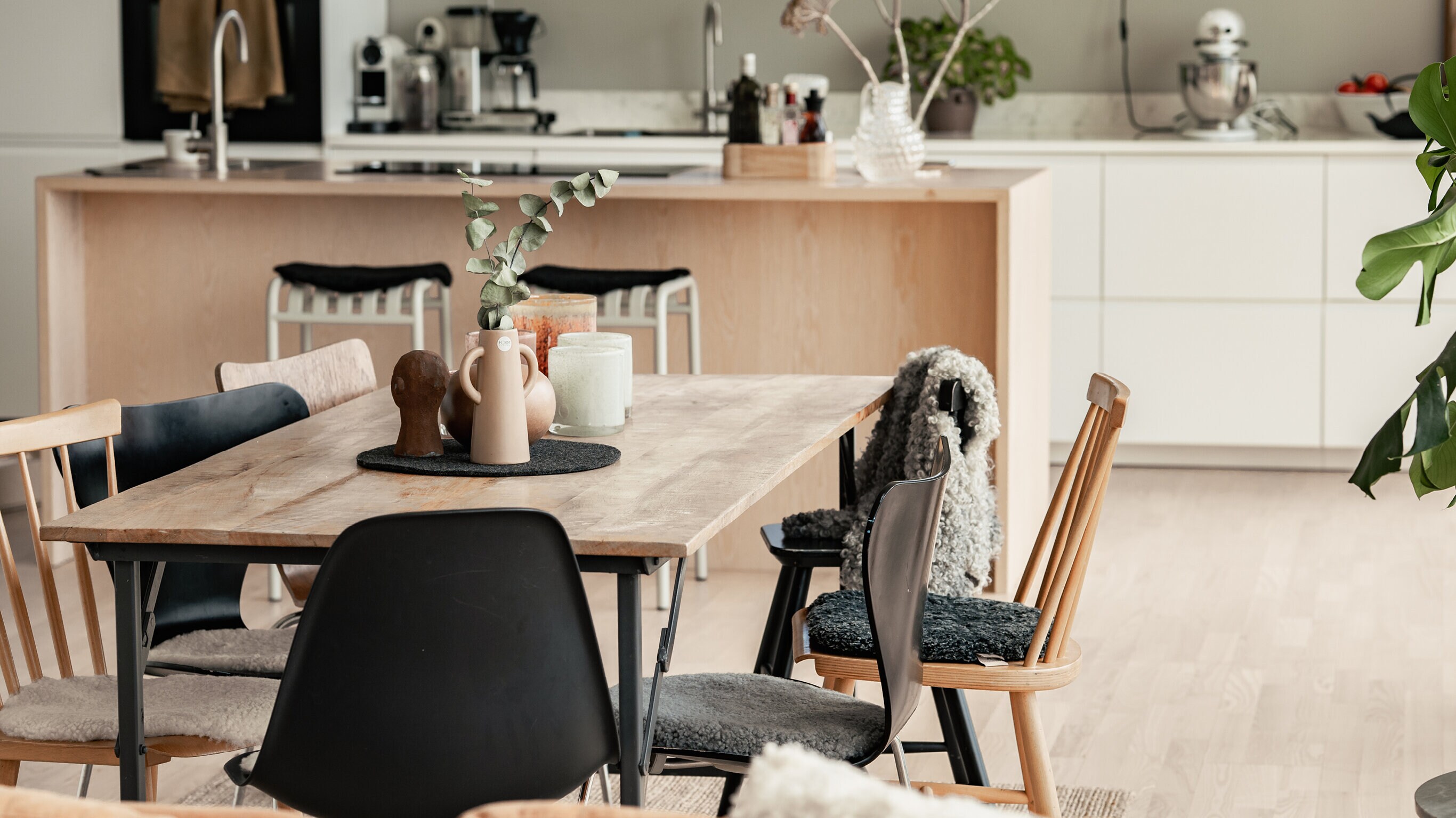 shepherd of sweden anton