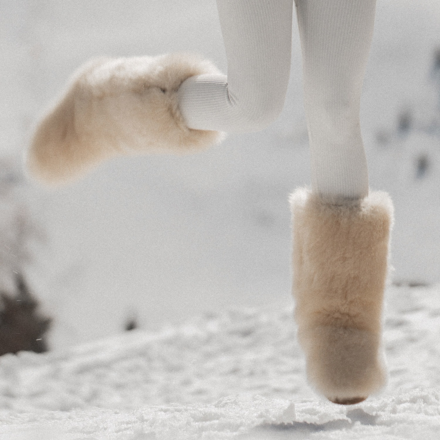 Shamone boots