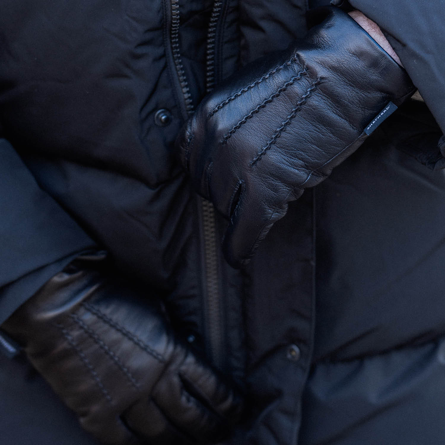 William gloves