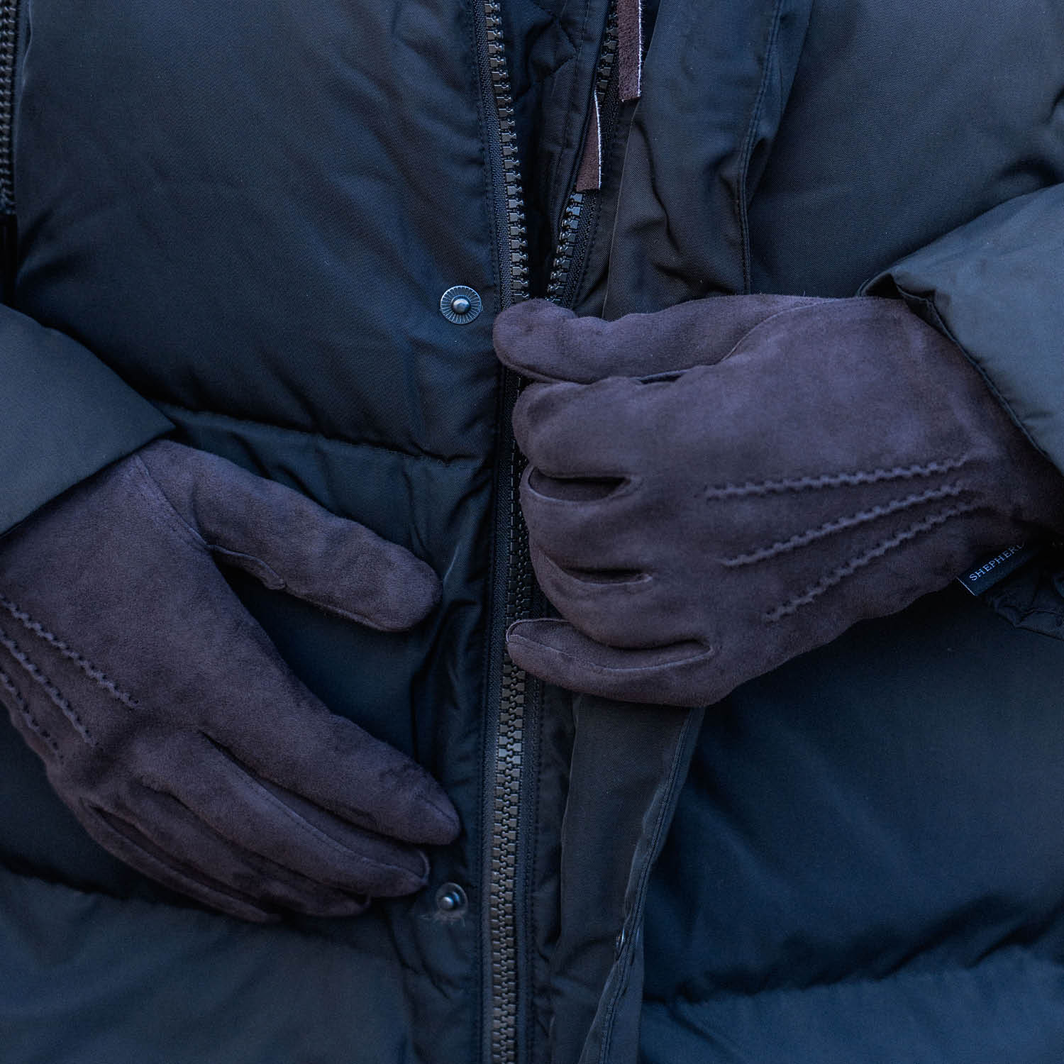 Harry gloves