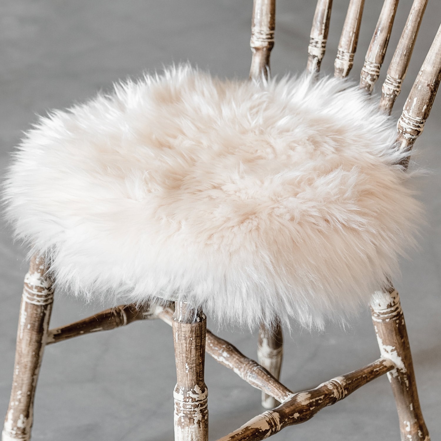 Molly chair cushion